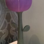 IMG 6798