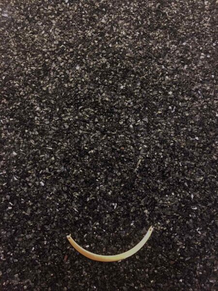 0 02 05 7230fc1c086d195785d9925ebbcd399e63730cf23c6f3c7096bf356e7f81ade2 1c6da6139cad24