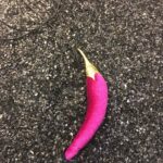 0 02 05 fca974f075aa7cfe645cc78f982adb596c45a1547286e46c1811139163c1a62a c04443230603ad76