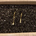 0 02 0a 3bac461223ddf8d87de04be23318c168bf93e9892350135152357c1015462365 63dc6ce3f0a7af61