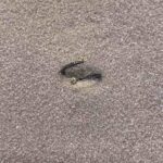 0 02 05 3524bf7626631866e872762e6678e5def9b37f7544f0d8f877960b18493449fd b073ec15140e1fda