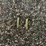 0 02 05 8b57f3f76516aaf8d0eba1ce27a5c84935c4cc04c52ba8f243d02fa99601e00d 2d21fe6ea5f5c10e