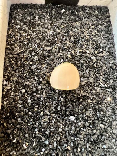 0 02 05 95ef0114fb3b521f69b8414e7a9ceccc8e099f9327d7c6cd5e9f7a68a3c7ed3c 735052bf9dd8b1e5