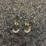 εικόνα Viber 2022 12 01 14 01 46 237