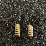 εικόνα Viber 2023 02 03 13 16 49 859