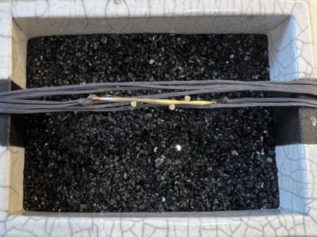 εικόνα Viber 2024 01 22 14 20 31 645